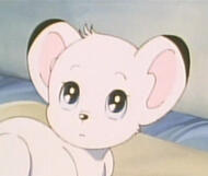 Kimba